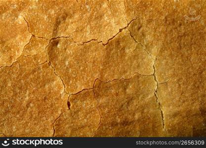 Bread macro texture. Bakery close up background