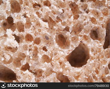 bread on a white background