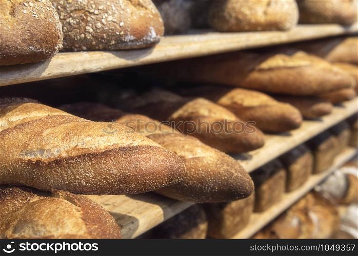 Bread variety on wooden shelves. Freshly baked loaves on bakery racks. Bread diversity. Baked goods and bakery context.