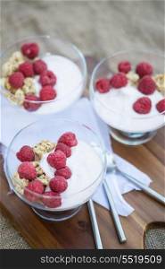 Breakfast of fresh raspberries and yoghurt