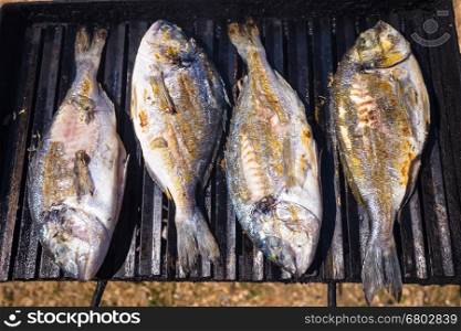 Bream fresh sea fish on grill view