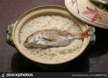 Bream with rice