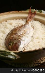 Bream with rice