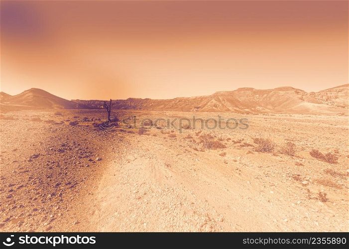 Breathtaking landscape of the rock formations in the Israel desert at dawn in a contemporary style. Lifeless and desolate scene as a concept of loneliness, hopelessness and depression.