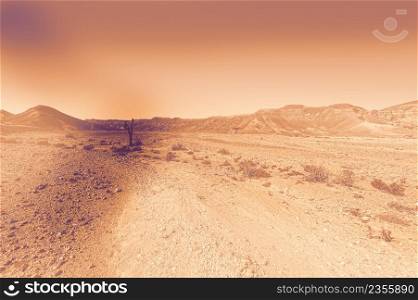 Breathtaking landscape of the rock formations in the Israel desert at dawn in a contemporary style. Lifeless and desolate scene as a concept of loneliness, hopelessness and depression.