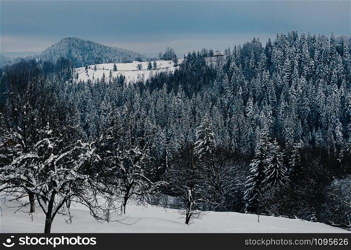 Breathtaking winter mountain landscape covered with snow, forests in the misty distant backdrop. Picturesque and peaceful wintry scene European resort location. Cloudy day or evening