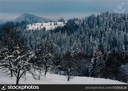 Breathtaking winter mountain landscape covered with snow, forests in the misty distant backdrop. Picturesque and peaceful wintry scene European resort location. Cloudy day or evening