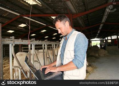 Breeder in barn with laptop computer