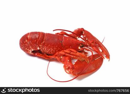 Breton lobster.
