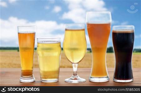 brewery, drinks and alcohol concept - different types of beer in glasses on table over cereal field and blue sky background. different types of beer glasses over cereal field