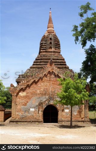 Brick padoda and tree in Old Bagan, Myanmar