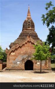Brick padoda and tree in Old Bagan, Myanmar
