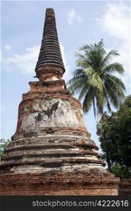 Brick stupa and palm tree in wat Phra Si Sanphet in Ayuthaya, central Thailand