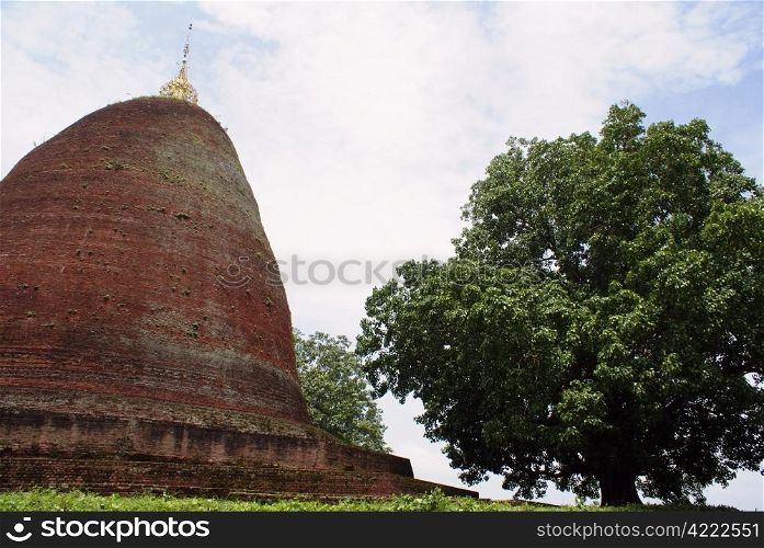 Brick stupa and tree near Pyau, Myanmar