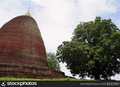 Brick stupa and tree near Pyau, Myanmar