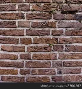 brick wall