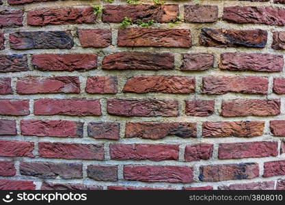 brick wall