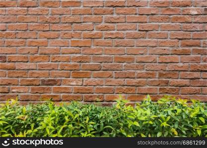 brick wall and tree background
