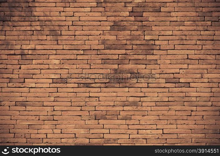 brick wall as background.Film style color effect