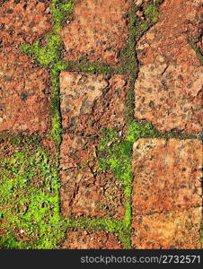 bricks clay soil pavement arrangement traditional Spain closeup