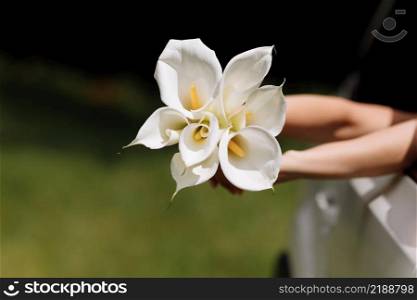 Bridal bouquet of Zantedeschia aethiopica flowers. Wedding. The womans hands holding a beautiful bouquet of white flowers outdoors from car.. Bridal bouquet of Zantedeschia aethiopica flowers. Wedding. The womans hands holding a beautiful bouquet of white flowers outdoors from car