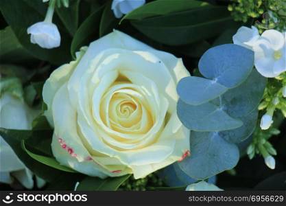 Bridal flower arrangement with white roses and eucalyptus. White bridal roses
