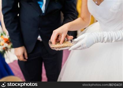 bride and groom are changing rings on their wedding