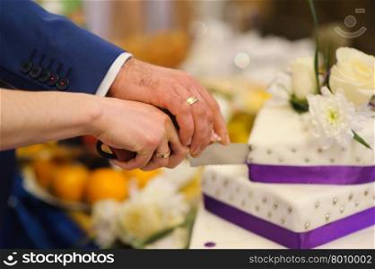 bride and groom are Slicing the wedding cake on reception