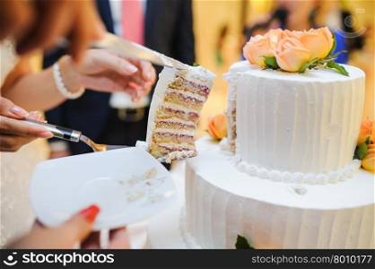 Bride and groom cut their wedding cake together. Slicing the cake