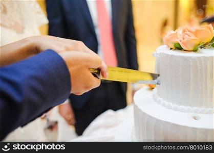 Bride and groom cut their wedding cake together. Slicing the cake