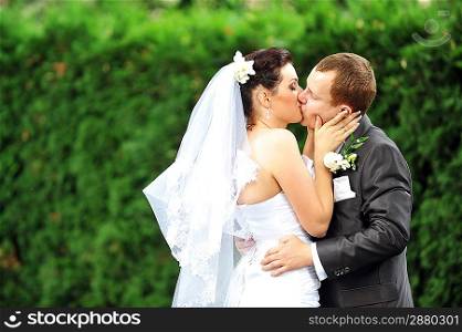 Bride and groom kissing near green bush