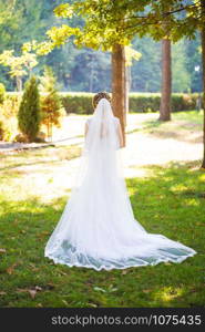 Bride in beautiful dress standing with her back to nature. Bride in beautiful dress standing with her to nature