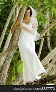 Bride In Tree