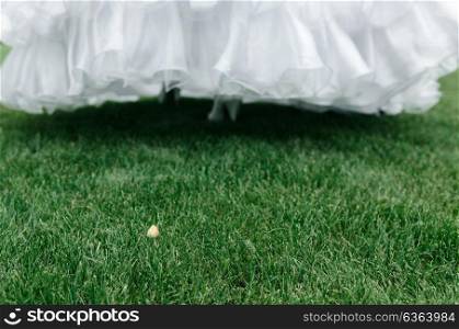 bridesmaid dress on background of green grass