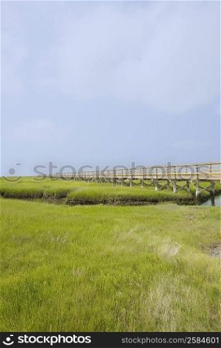 Bridge along a grassy field