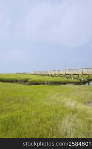 Bridge along a grassy field