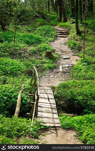 bridge and trail in the summer woods