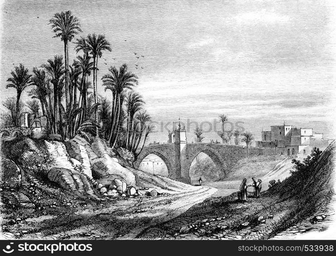 Bridge of Elche, vintage engraved illustration. Magasin Pittoresque 1855.