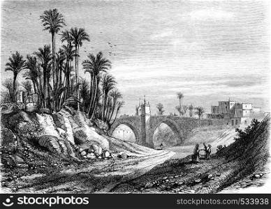 Bridge of Elche, vintage engraved illustration. Magasin Pittoresque 1855.