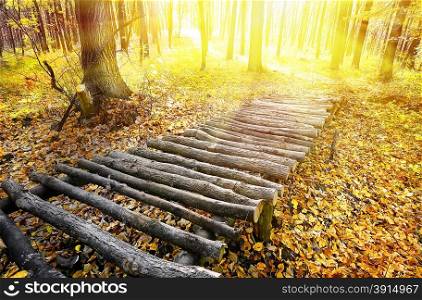 Bridge of logs in the autumn forest