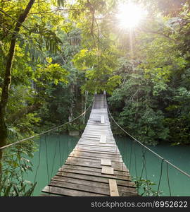 Bridge over river in tranquil forest in Belize