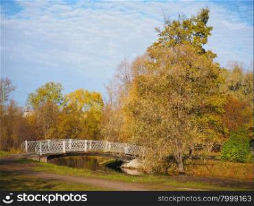 bridge over the river in the fall