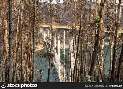Bridge over the Zezere River seen through the eucalypt forest destroyed by the summer 2017 forest fires in Central Portugal