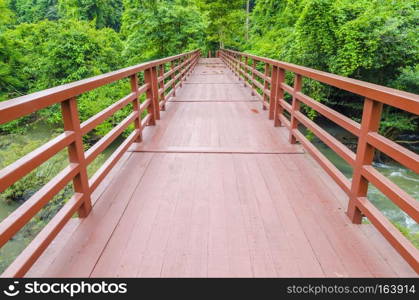 Bridge to the jungle,Khao Yai national park,Thailand