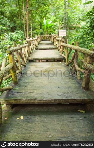 Bridge walkway with trees on either side of the zoo area.