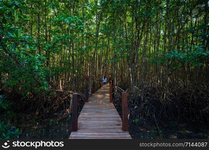 bridge wooden walking way in The forest mangrove in Chanthaburi Thailand.