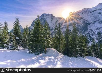 Bright alpine scenery in winter - Serene winter landscape with a bright sun shining over the peaks of the Austrian Alps and its forever green fir forests.