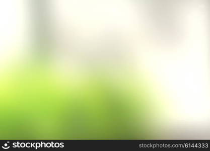 Bright and burry green background in the spring