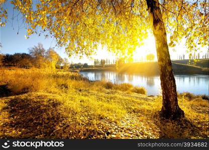 Bright autumn at sunrise near the river