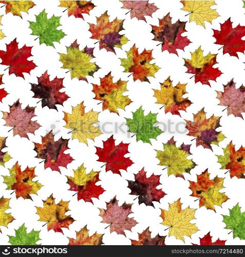 Bright autumn leaves seamless pattern. Brown, red and yellow foliage background vector illustration.. Brown, red and yellow foliage
